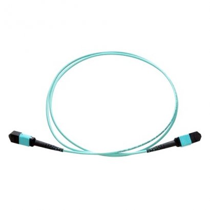 Fiber Optic Network Cable MPOFFOM31M-AX