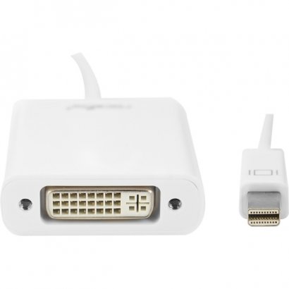 Rocstor Mini DisplayPort to DVI Adapter Y10A103-W1